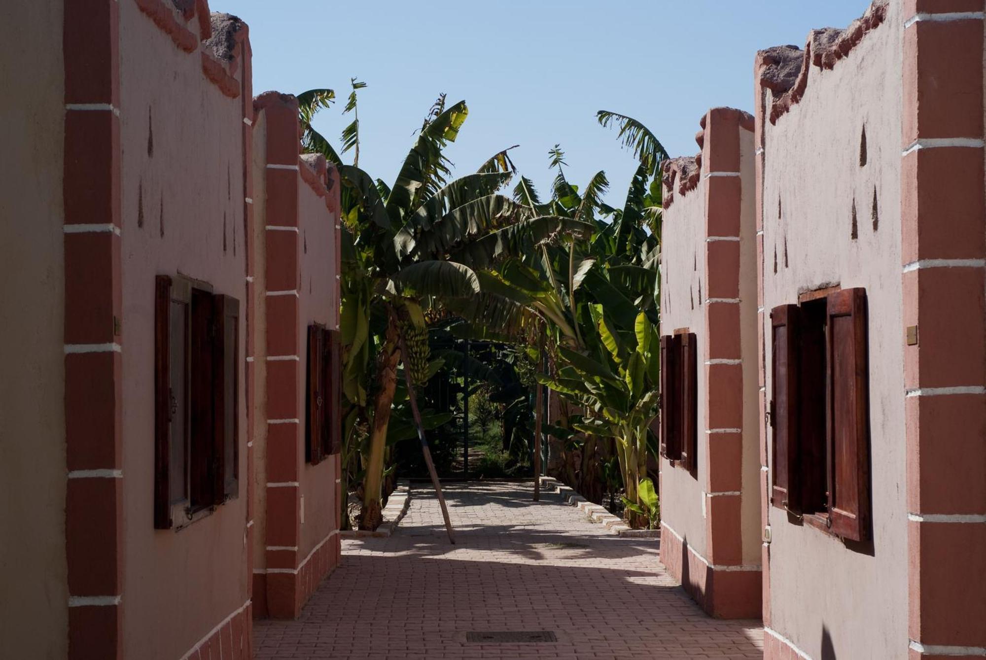 לוקסור Al Baeirat Hotel מראה חיצוני תמונה