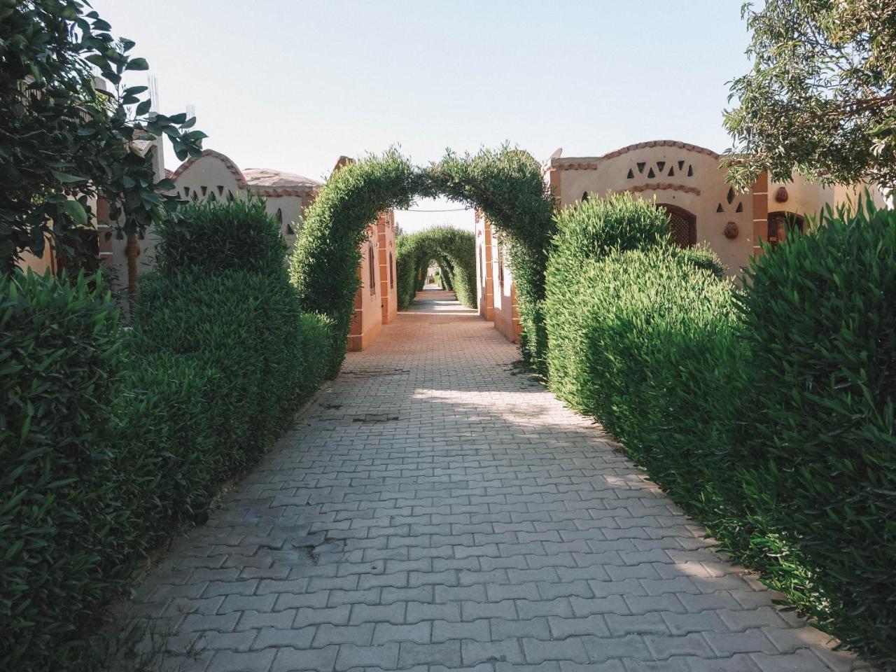 לוקסור Al Baeirat Hotel מראה חיצוני תמונה